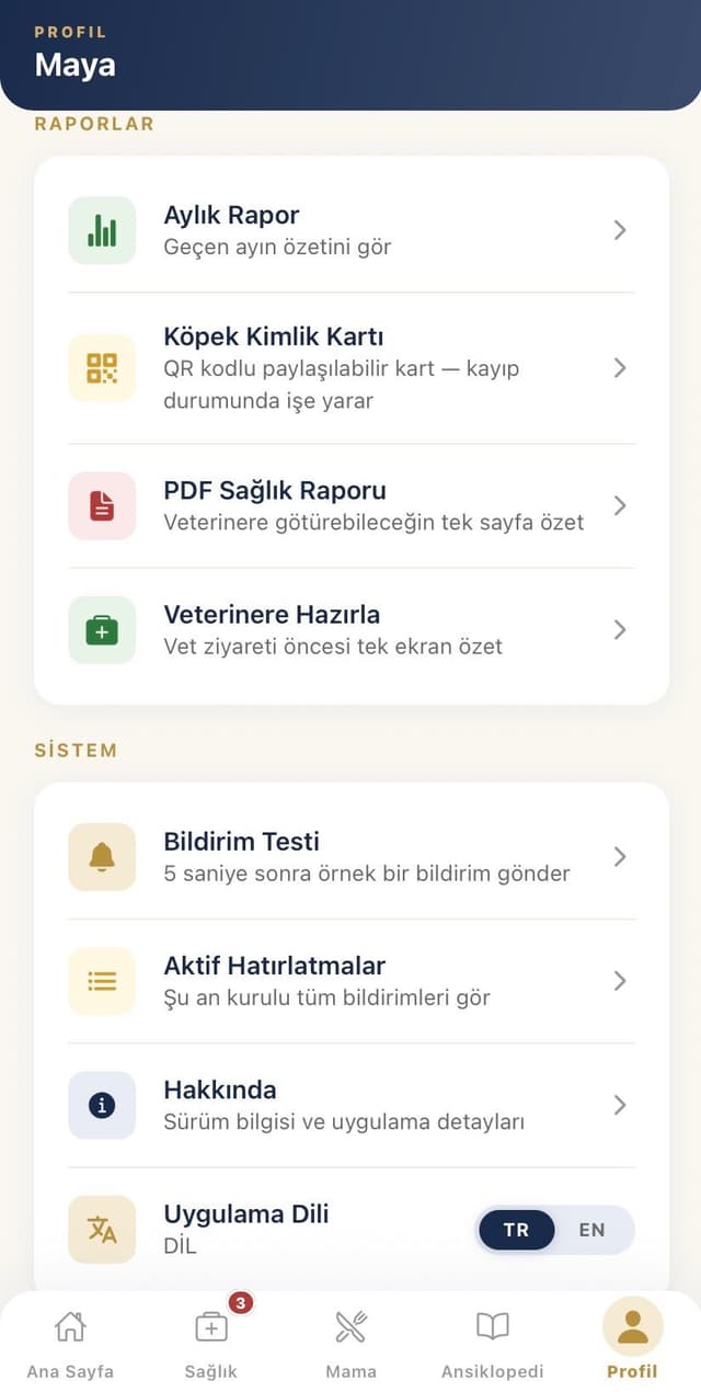 Raporlar ve Sistem