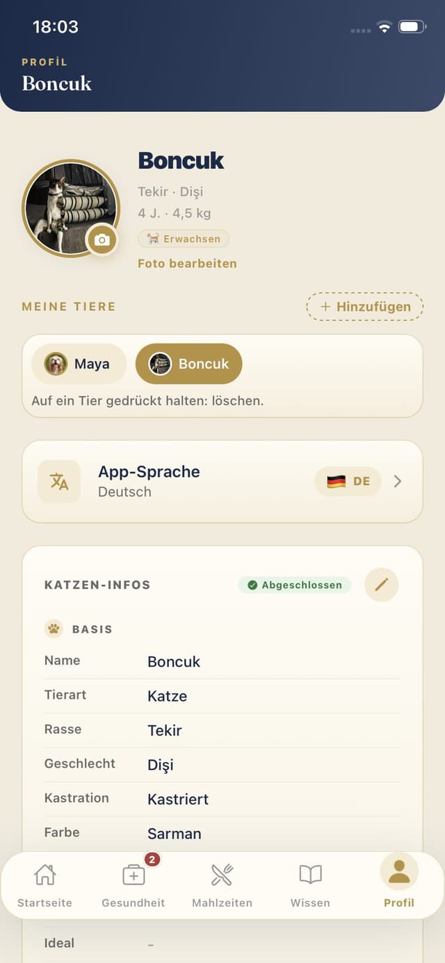 Katzenprofil