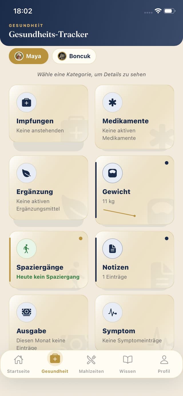 Gesundheit