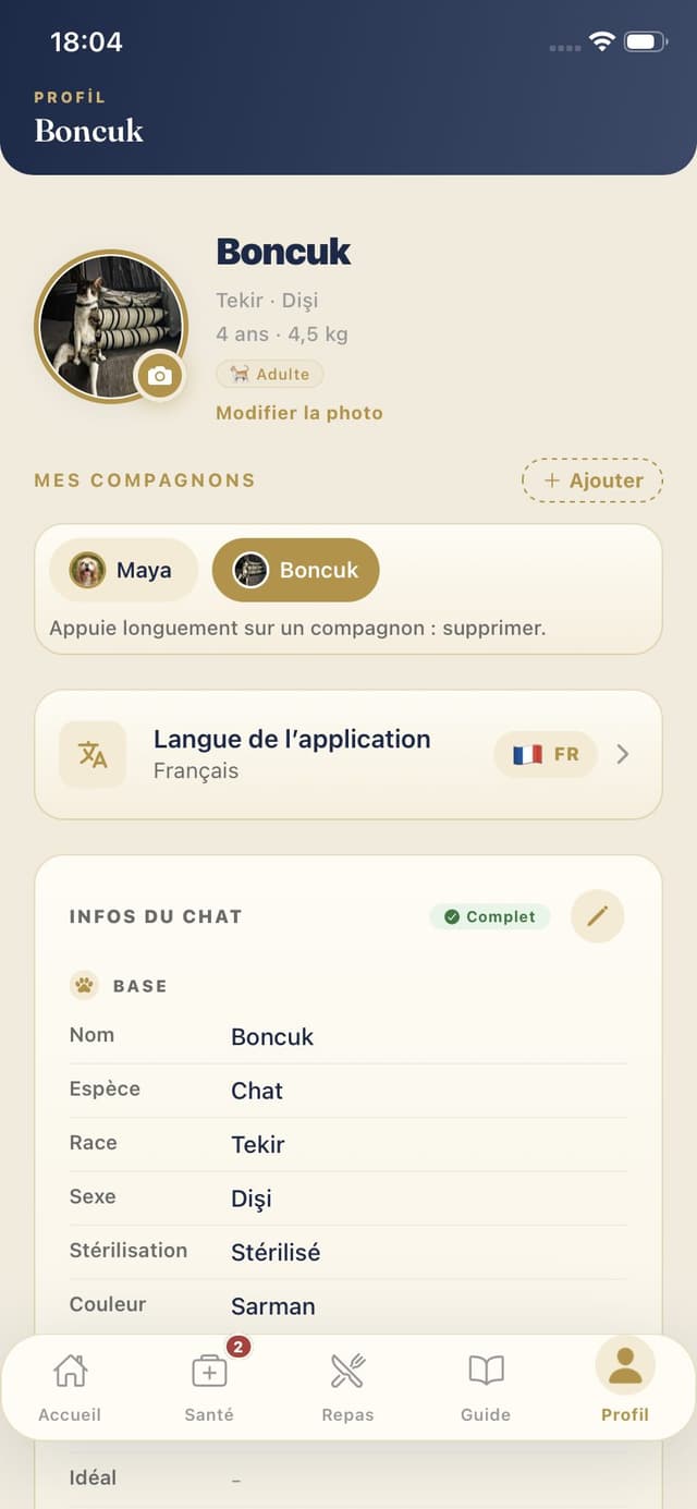 Profil chat