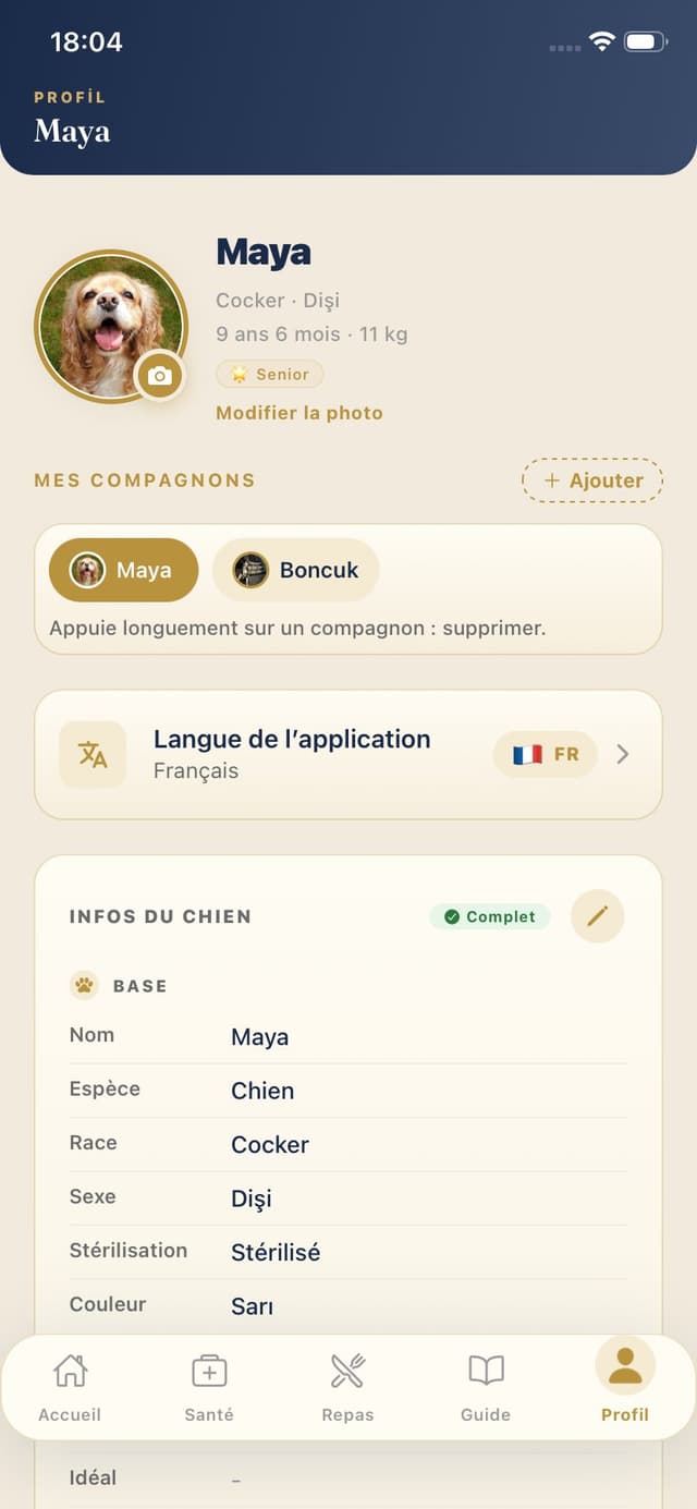 Profil chien