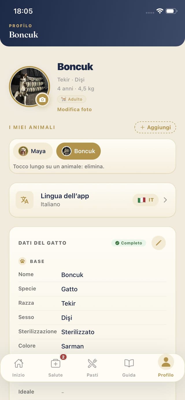 Profilo gatto