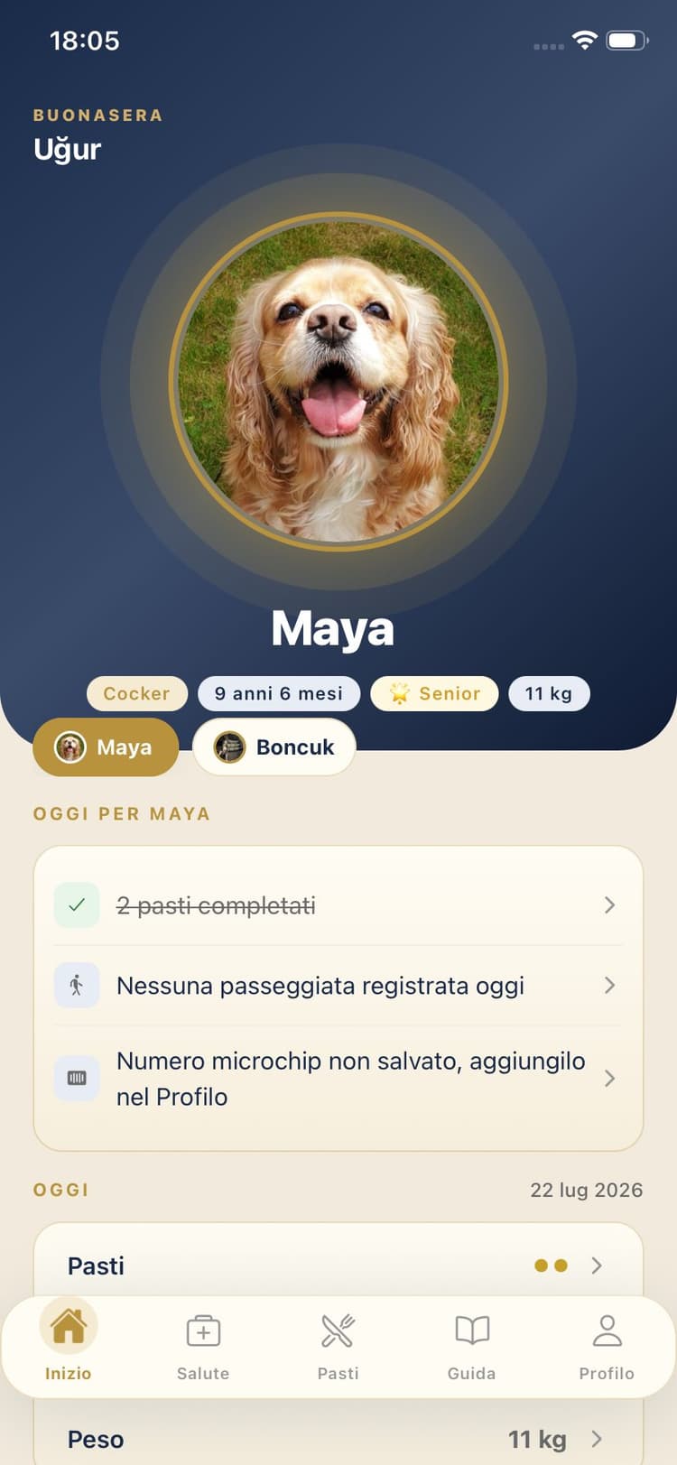 Schermata dell’app Maya Pet