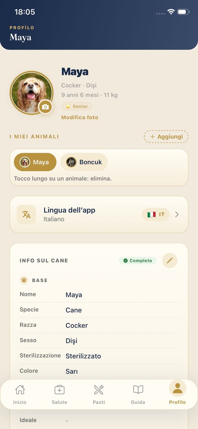 Profilo cane