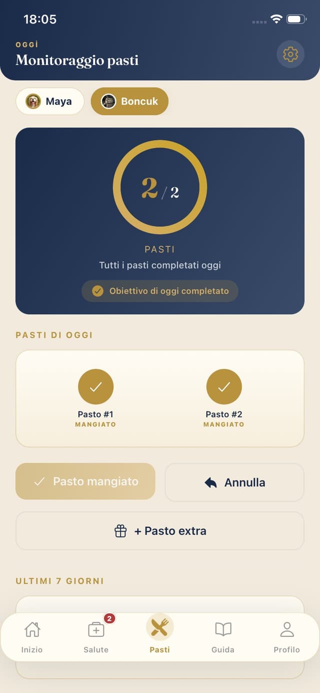 Pasti