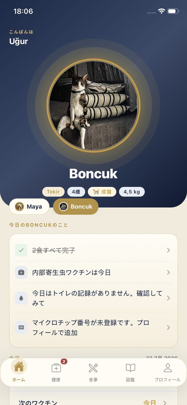 猫のホーム