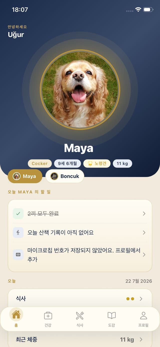 Maya Pet