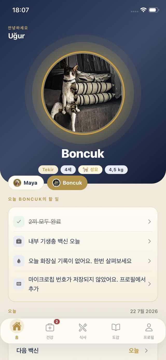 고양이 홈